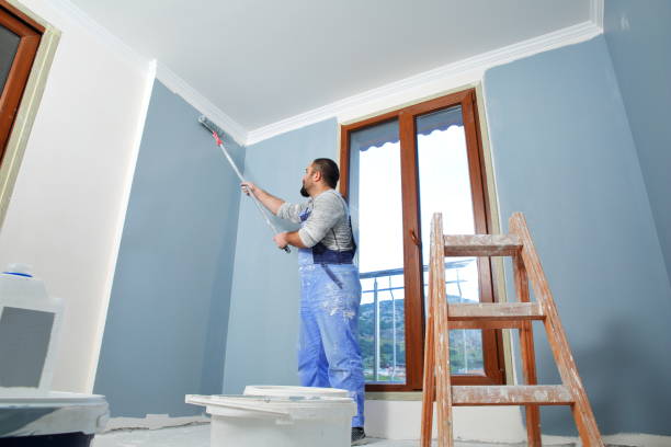 Best Interior Painting  in Braidwood, IL